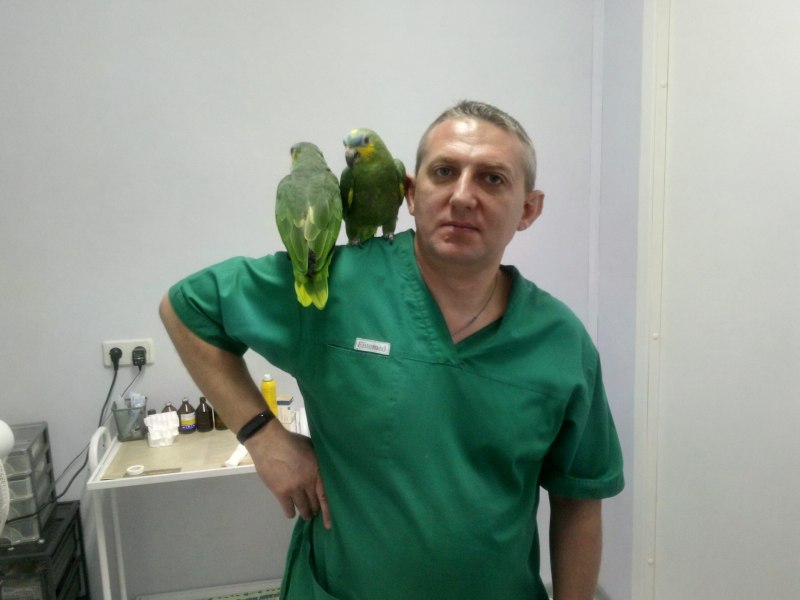 Бэмби ветклиника Ясенево