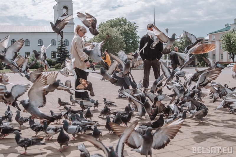 Люди в парке кормят голубей
