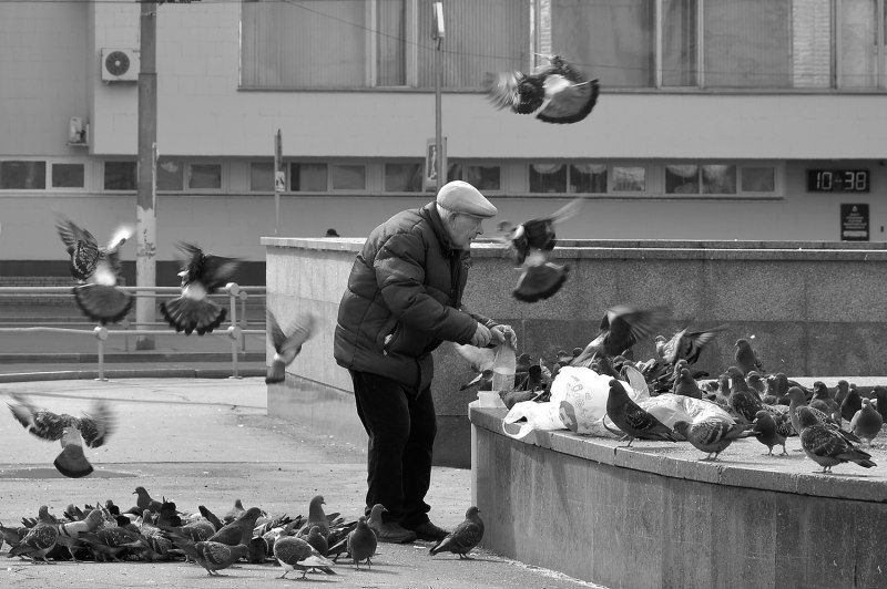 Мужчина с голубем
