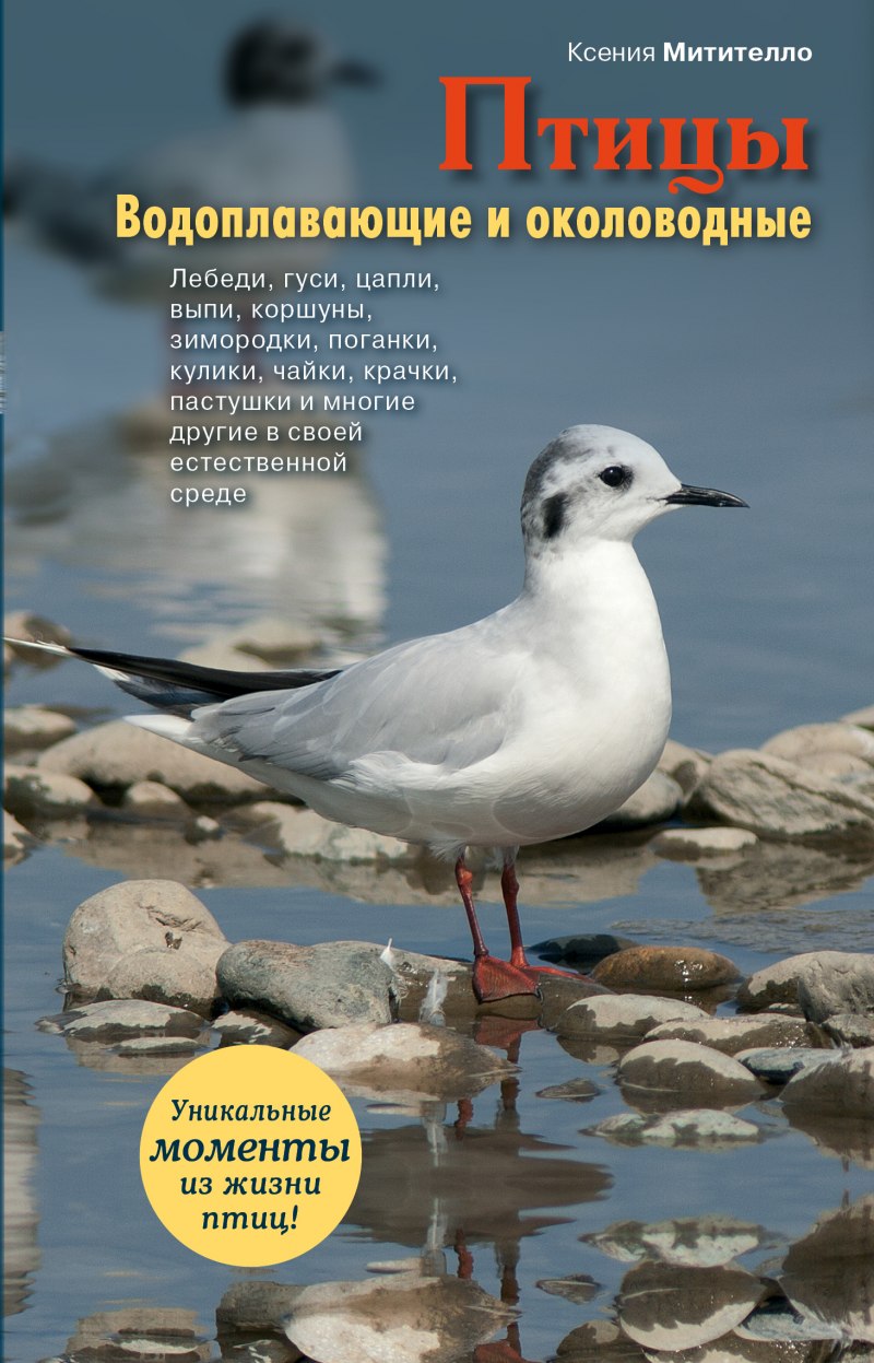 Птицы водоплавающие и околоводные CD