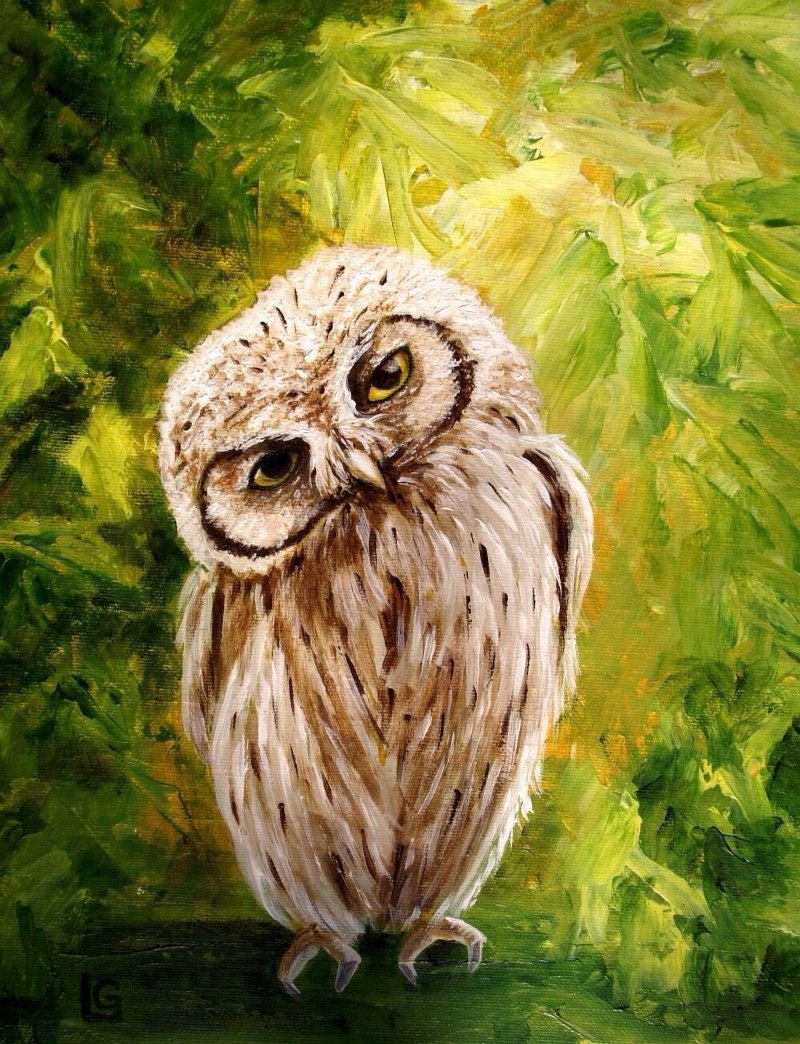 Сова рисунок