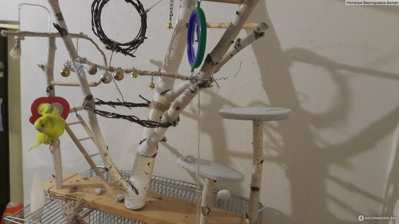 Игрушки для попугая из березы