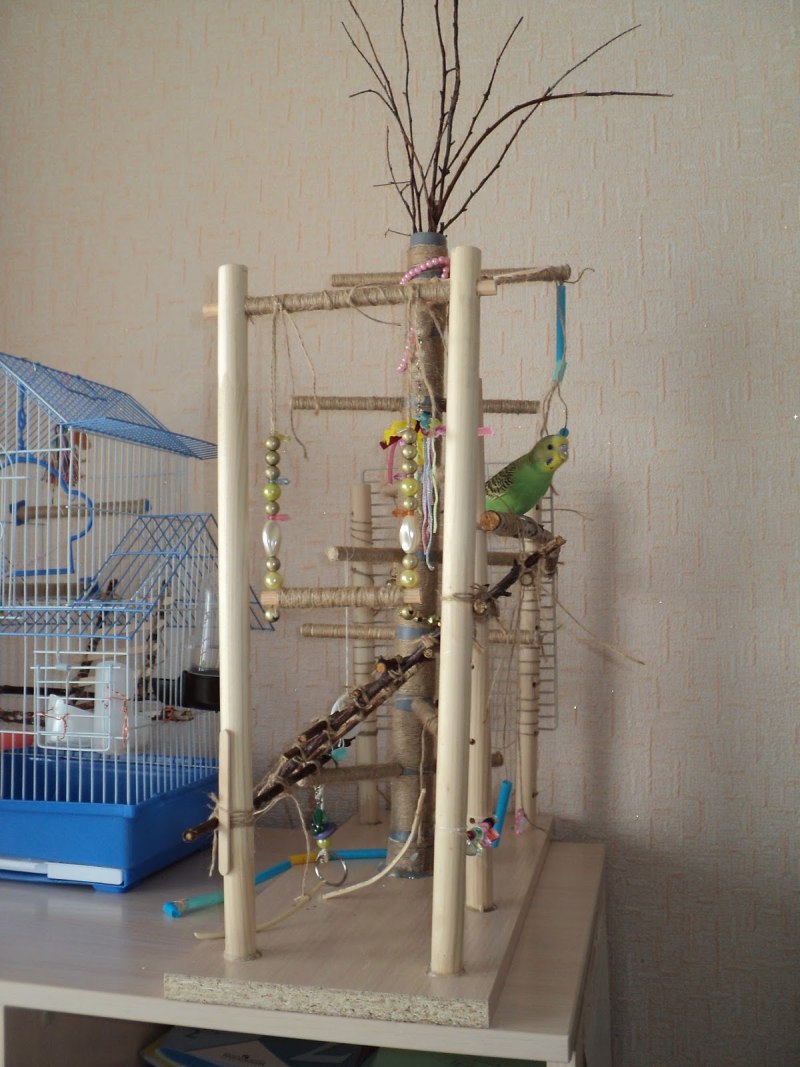 Игровой комплекс для попугая корелла