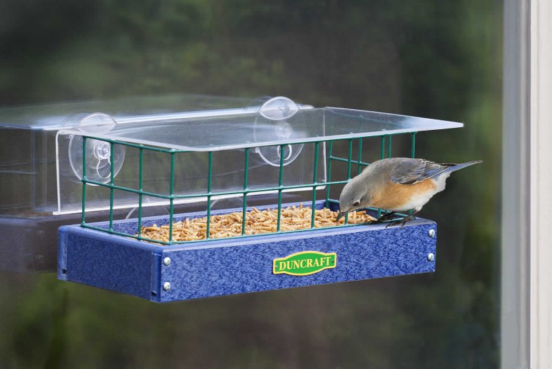 Window Feeder кормушки