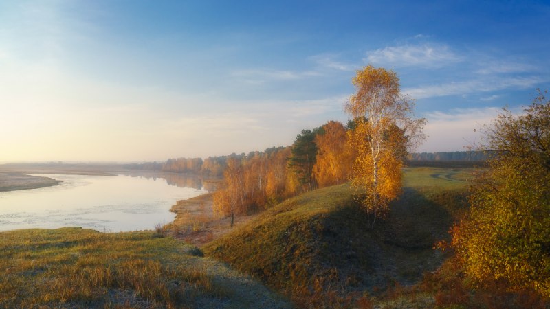 Ранняя осень Журавли