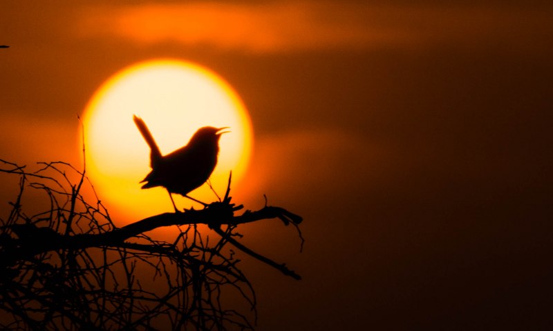 Фотограф Кристиан Спенсер