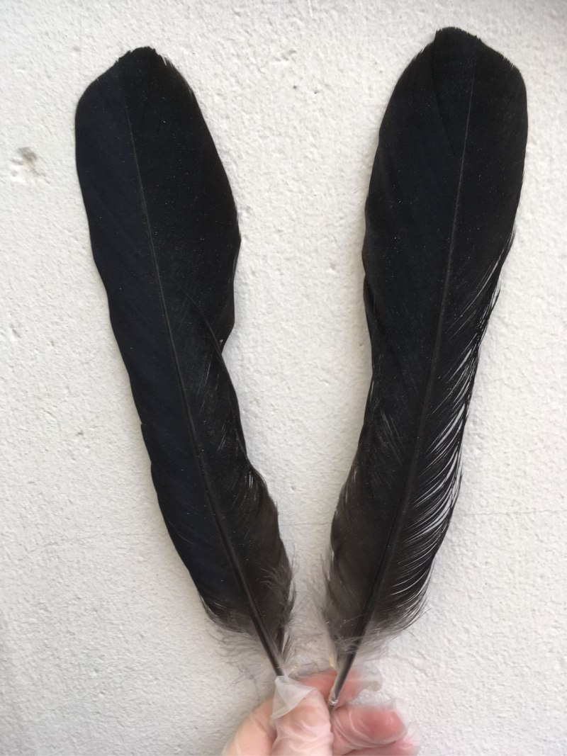 Stone Raven