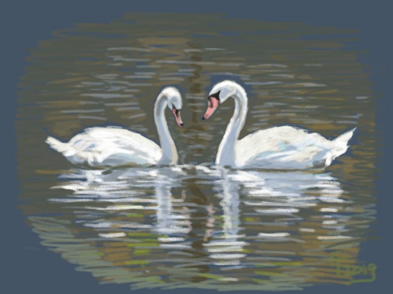 Лебедь фото рисунок