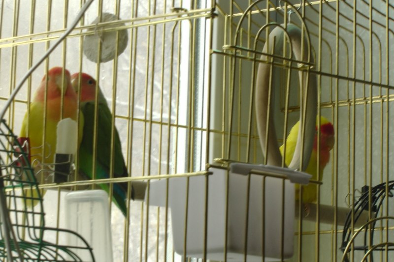 Скворечник Дарэлл 8507 20х23х28см
