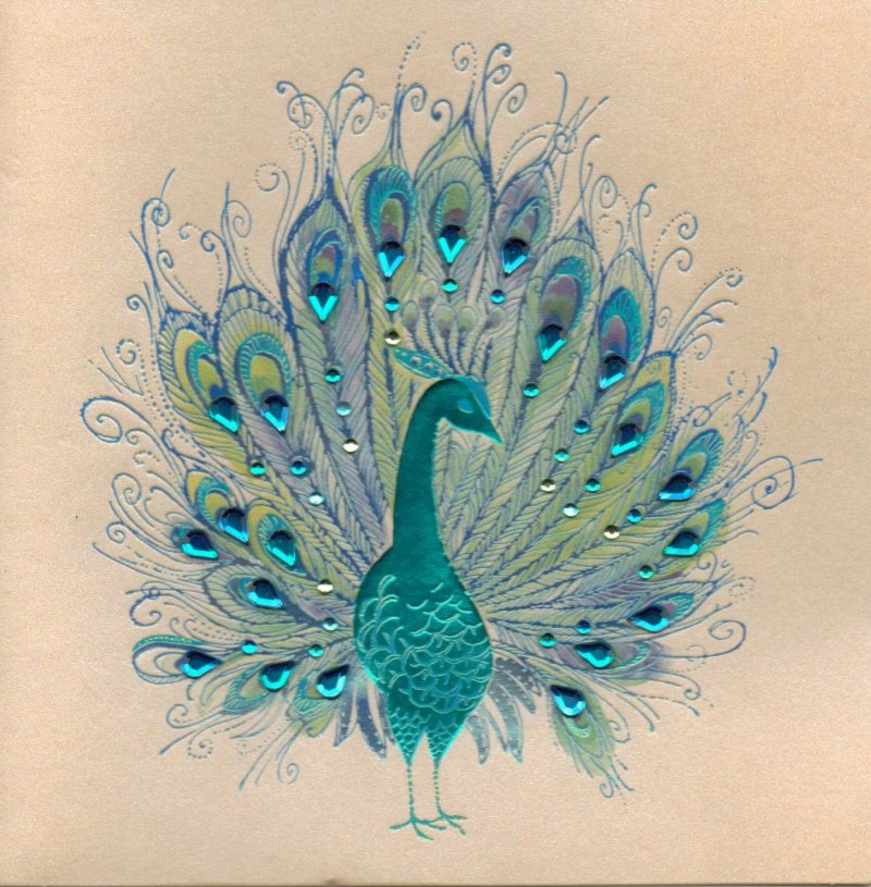 Baby Peacock Diet