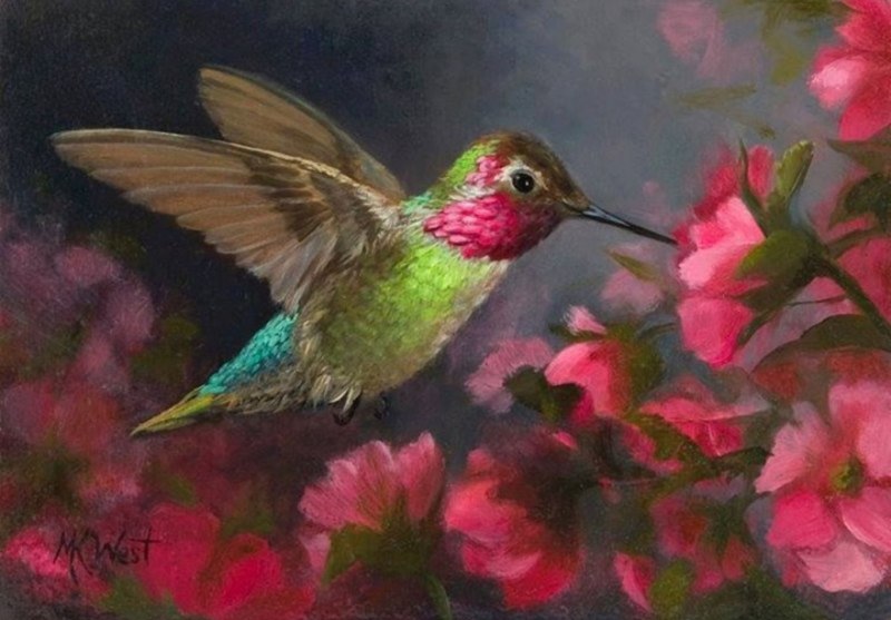 Hummingbird (Колибри)