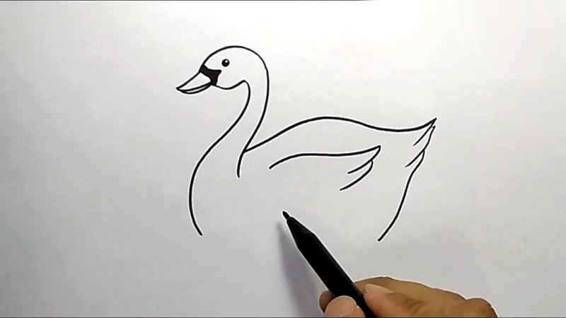 Глаза лебедя нарисованные