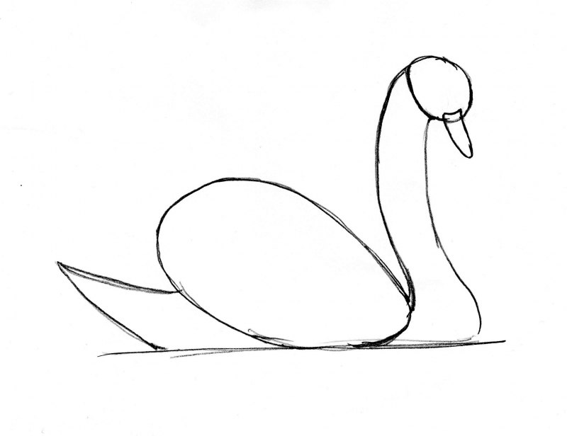 Лебедь рисунок