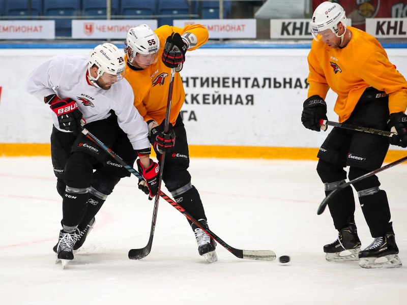 Кречет быстрокрылый