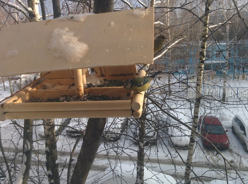 Зимняя кормушка на балконе