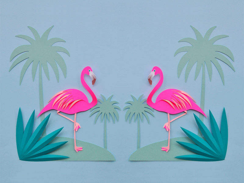 Flamingo illustration