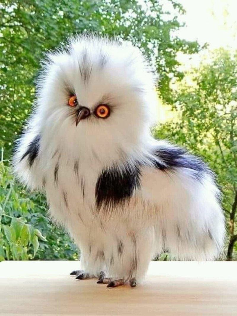 Смешной Воробей