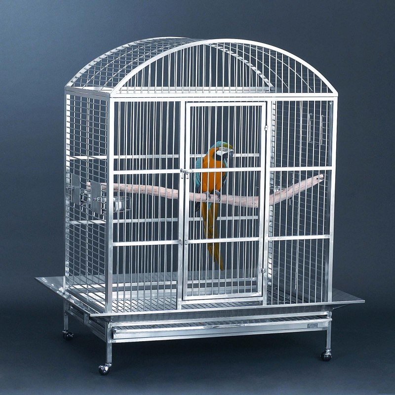 Xenith800 - Bird Cage