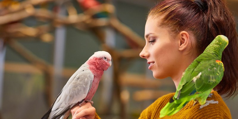 People and Parrot
