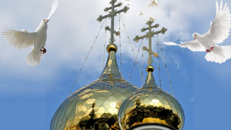 Храм и птицы