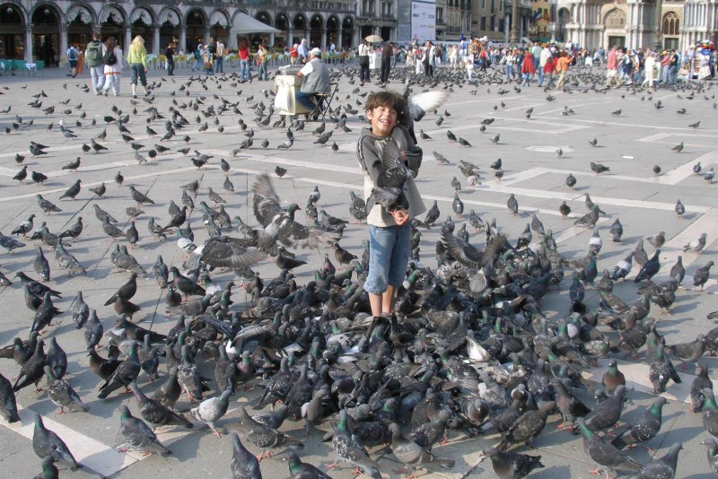 С голубями на площади (39 фото)