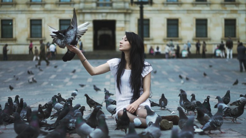 Фотосессия с голубями на улице