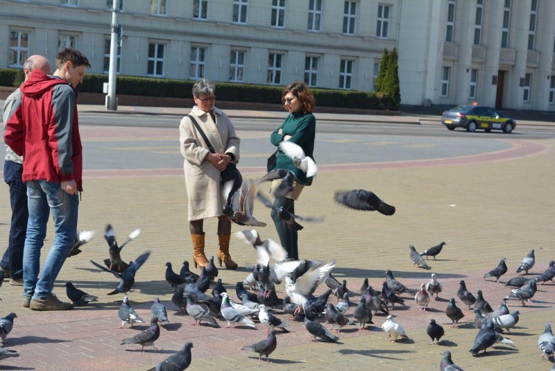 Площадь в Барселоне с голубями