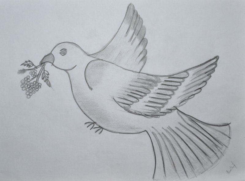 Рисунки Браво ворон como dibujar