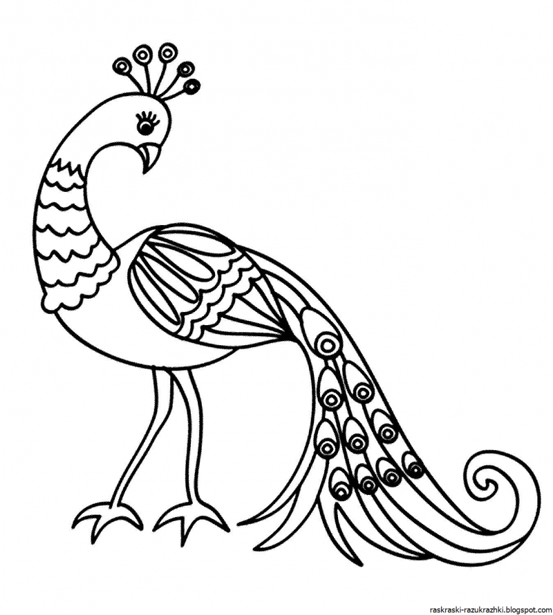 Павлины раскраска
