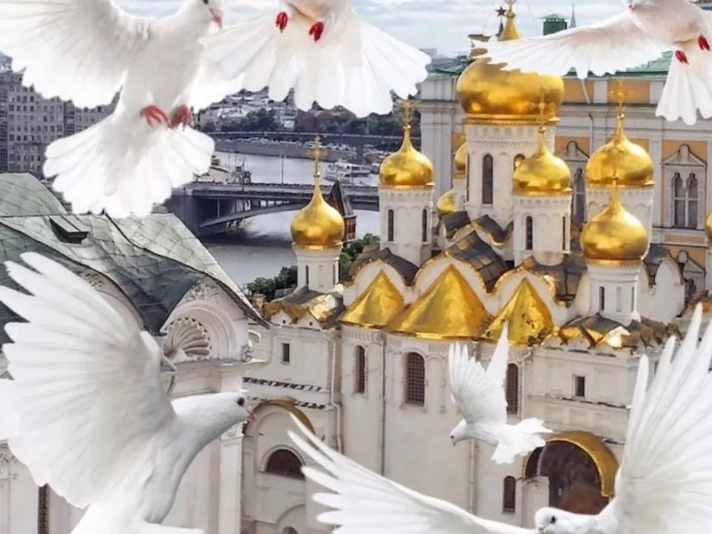 Голубь на фоне церкви