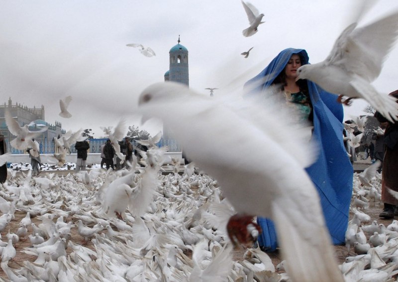 Мусульманка с голубем