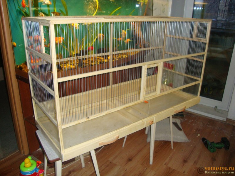 Домик для попугаев (60 фото)