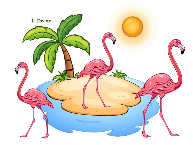 Flamingo illustration