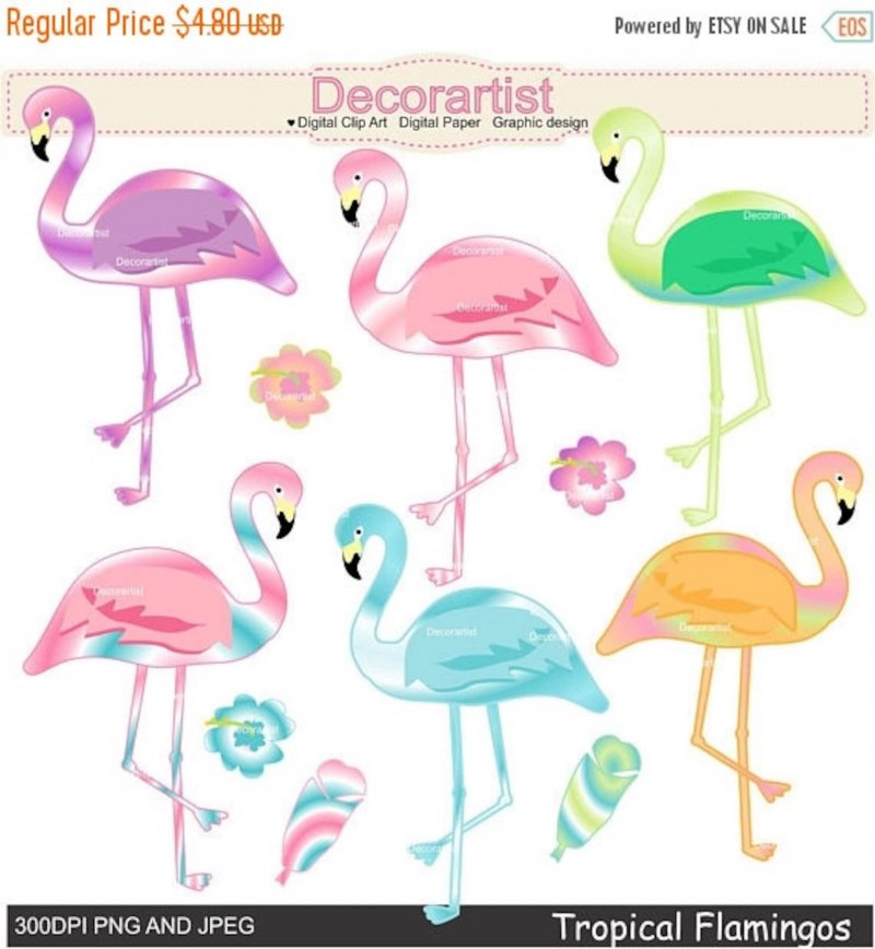 Touch Flamingo meeting Автор