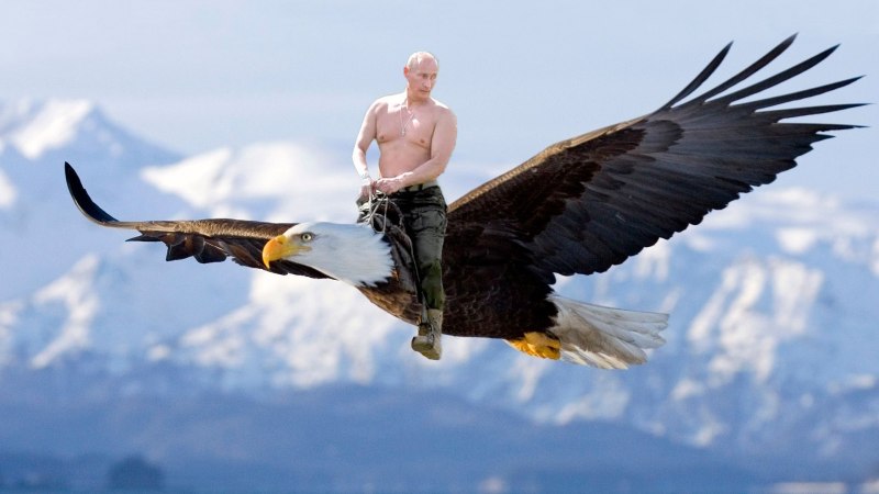 Путин на птице