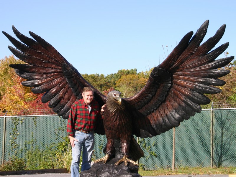 Harpy Eagle и человек