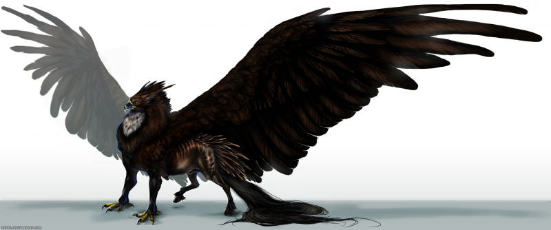 Gabby Griffon фтрекщ