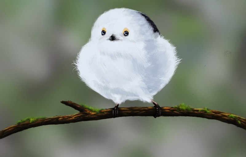Белая птичка