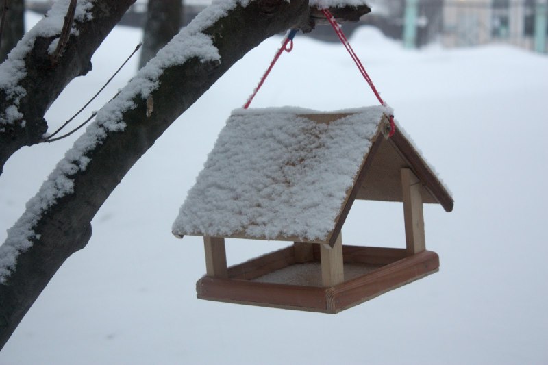 Кормушка для птиц из пластиковой бутылки