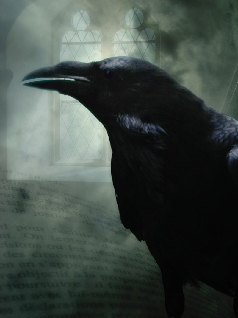 Raven Nevermore