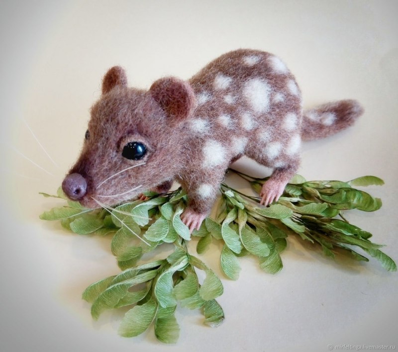 Сумчатая куница
