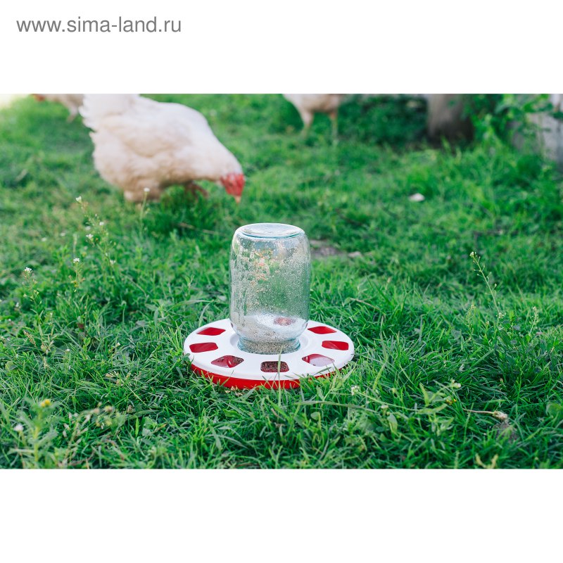 Поилка для птиц d170мм