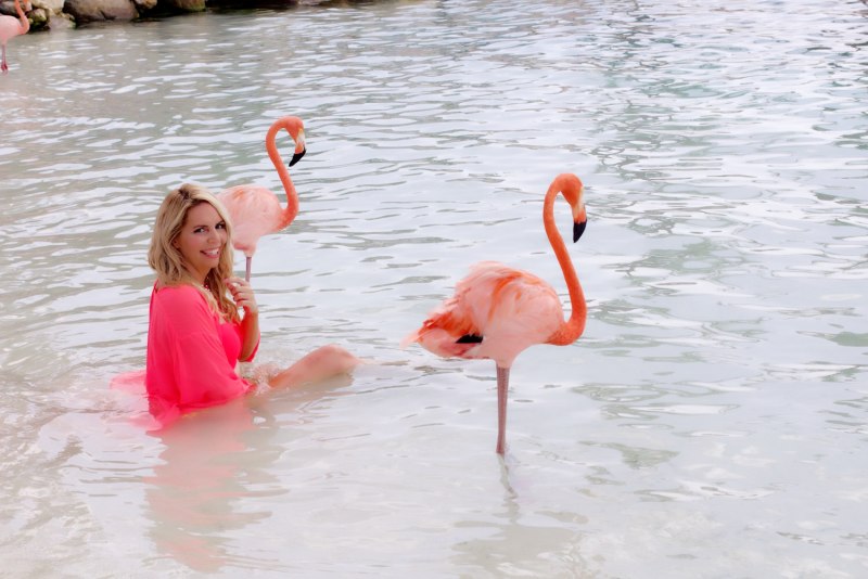 Flamingo Мария