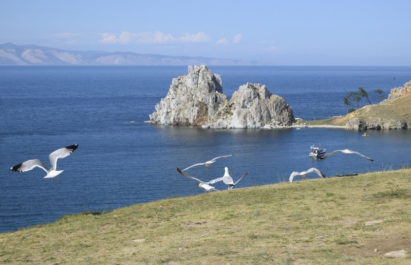 Озеро Байкал фауна