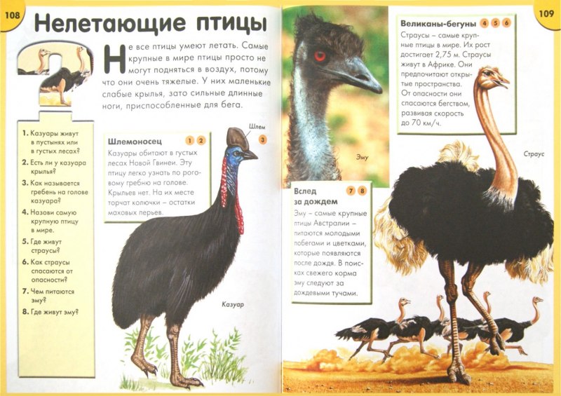 Отрывок из энциклопедии