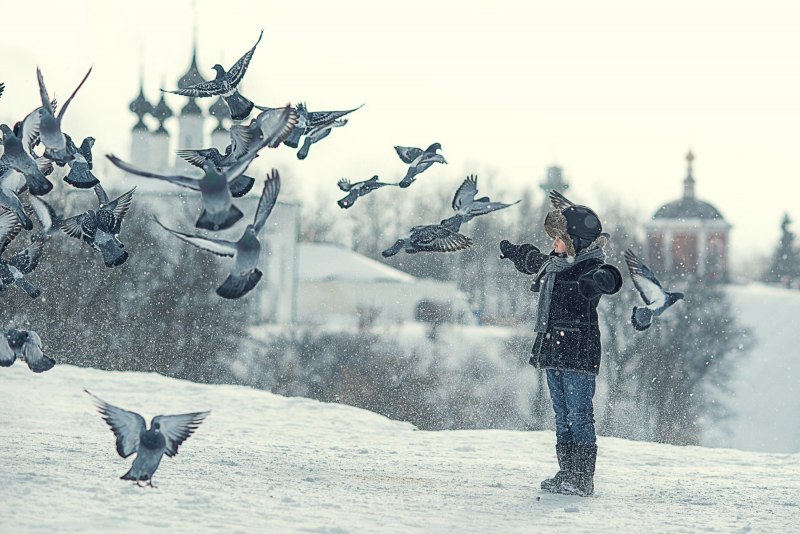 Снежное небо и птицы