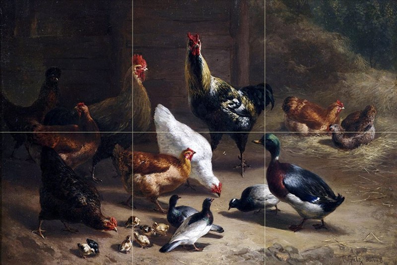 Утки куры во дворах