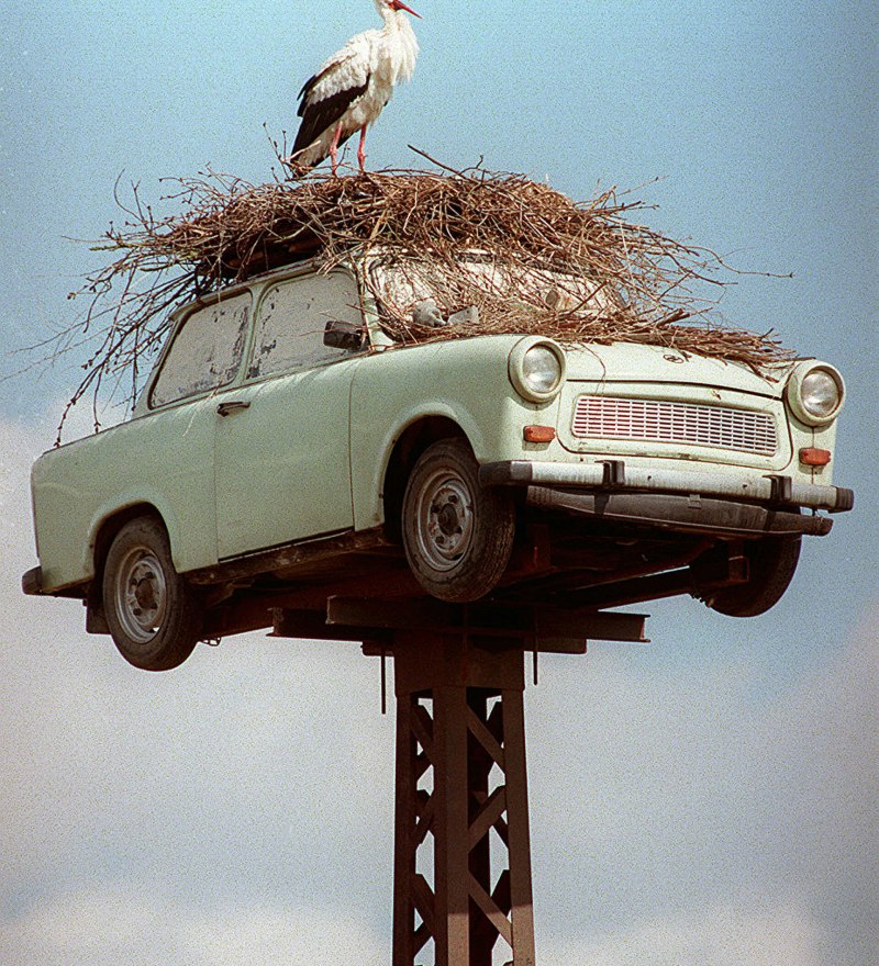 Автомобиль птица