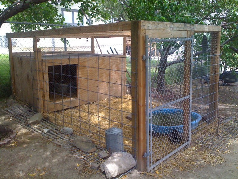 Курятник гусятник утятник