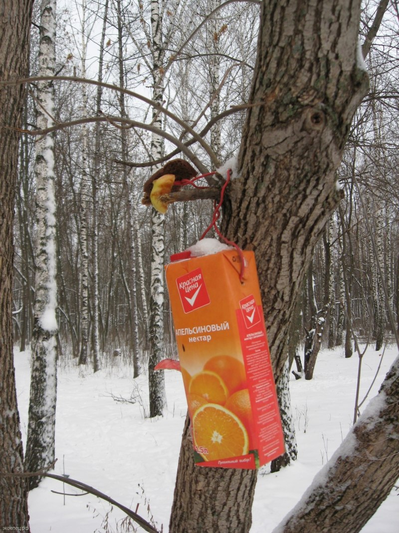 Кормушка для птиц из пакета от сока